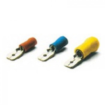 maschio bm00280