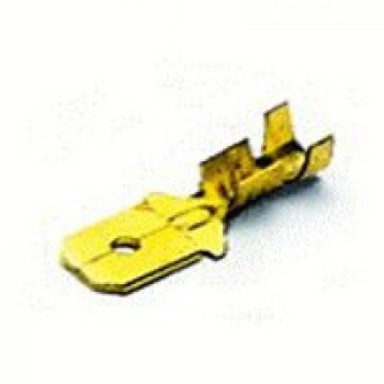 maschio nudo bm01280